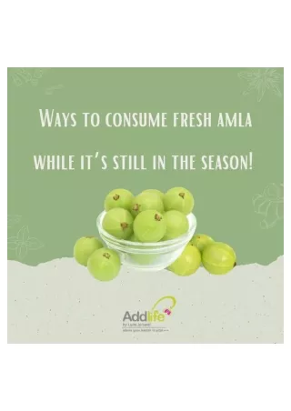Consume Fresh Amla Dietician In India