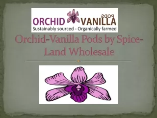 Vanilla Beans – Spiceland Wholesale