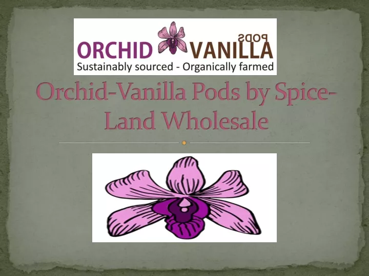 orchid vanilla pods by spice land wholesale