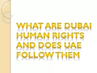 What Are Dubai Human Rights And Does UAE Follow Them