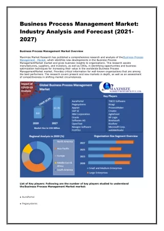 business process management market industry