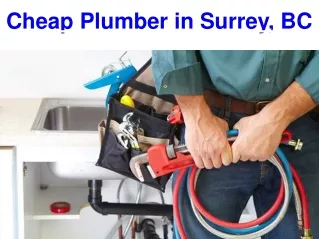 Cheap Plumber in Surrey, BC
