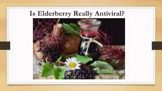 Is Elderberry Really Antiviral