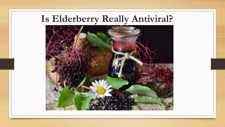 is elderberry really antiviral