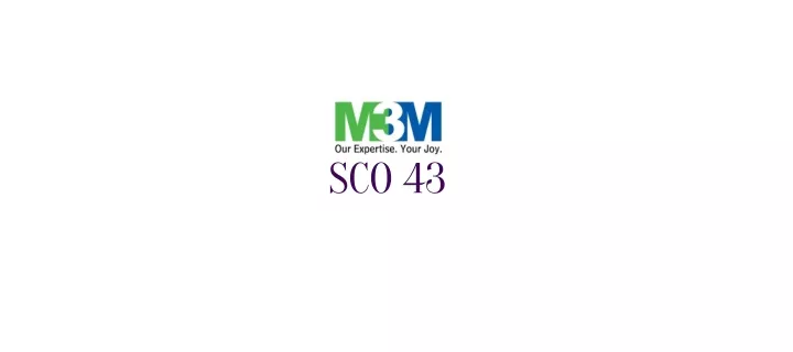 sco 43