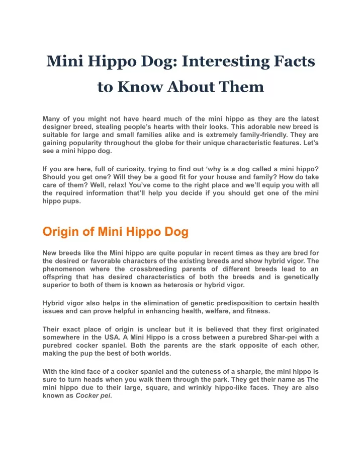 mini hippo dog interesting facts