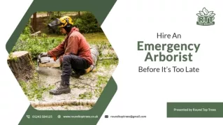 Hire An Emergency Arborist Before It’s Too Late