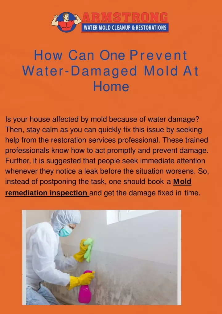 how can one prevent water damaged mold at home