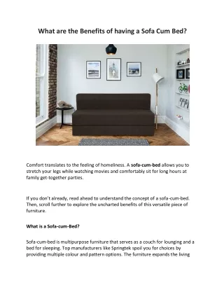 what are the benefits of having a sofa cum bed