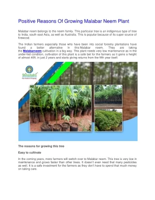 Positive Reasons Of Growing Malabar Neem Plant