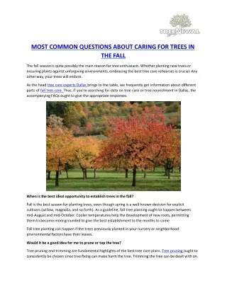 MOST COMMON QUESTIONS ABOUT CARING FOR TREES IN THE FALL