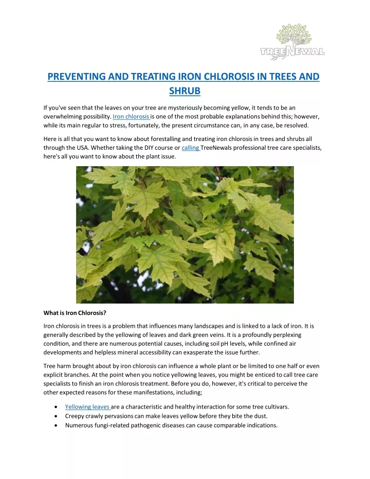 preventing and treating iron chlorosis in trees