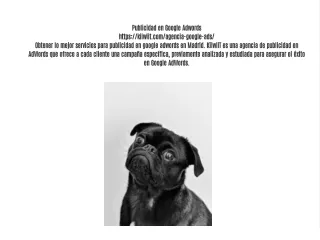 publicidad en google adwords https kiiwiit