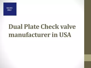Dual Plate Check valve manufacturer in USA