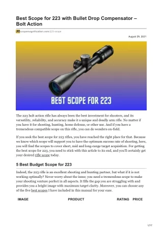 scopemagnification.com-Best Scope for 223 with Bullet Drop Compensator  Bolt Action