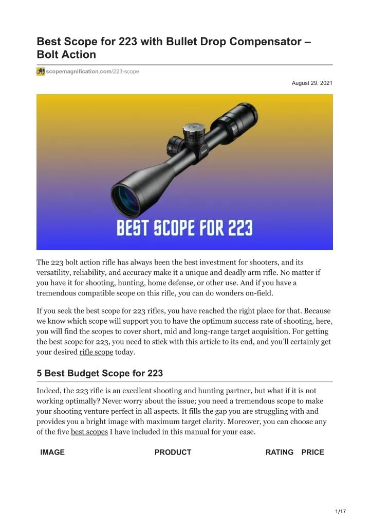 best scope for 223 with bullet drop compensator
