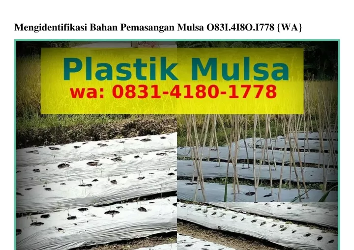 mengidentifikasi bahan pemasangan mulsa o83i 4i8o