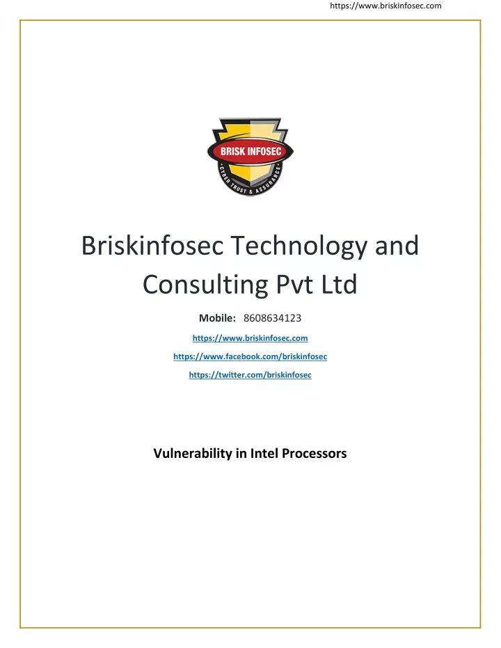 https www briskinfosec com