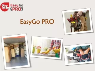 EasyGo PRO - The Best Moving & Cleaning Company in USA
