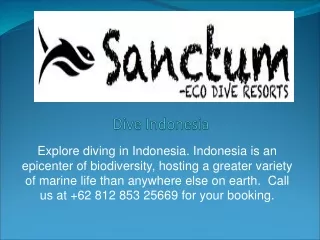 Dive Indonesia