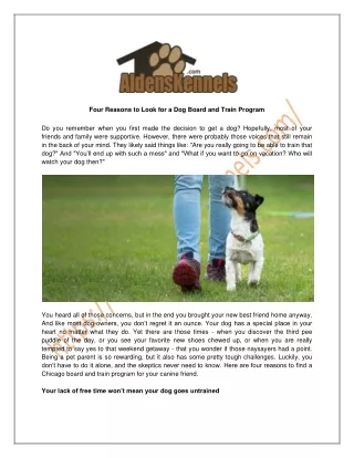 Four Reasons to Look for a Dog Board and Train Program