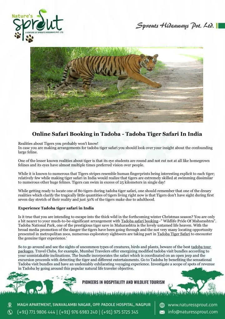 online safari booking in tadoba tadoba tiger