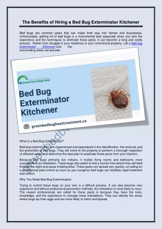 The Benefits of Hiring a Bed Bug Exterminator Kitchener