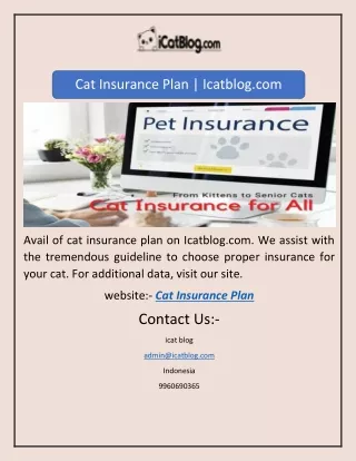 Cat Insurance Plan | Icatblog.com