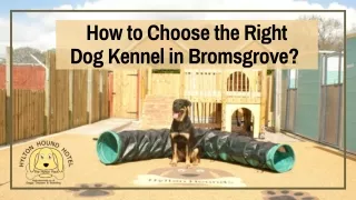 How to Choose the Right Dog Kennel in Bromsgrove