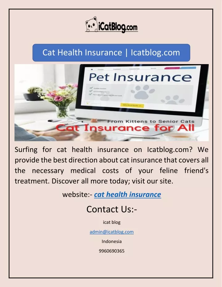 cat health insurance icatblog com