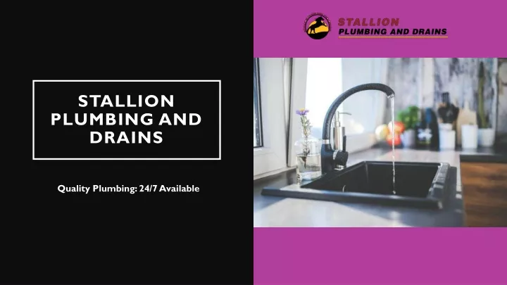 stallion plumbing and drains