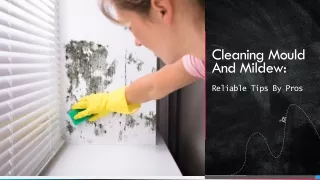 Cleaning Mould And Mildew Reliable Tips By Pros