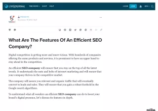 What Are The Features Of An Efficient SEO Company?