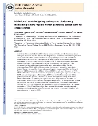 Inhibition of sonic hedgehog pathway and pluripotency maintaining factors