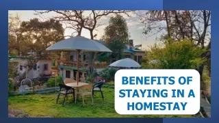 Benefits of staying in a homestay