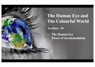 The Human Eye and the Colorful world