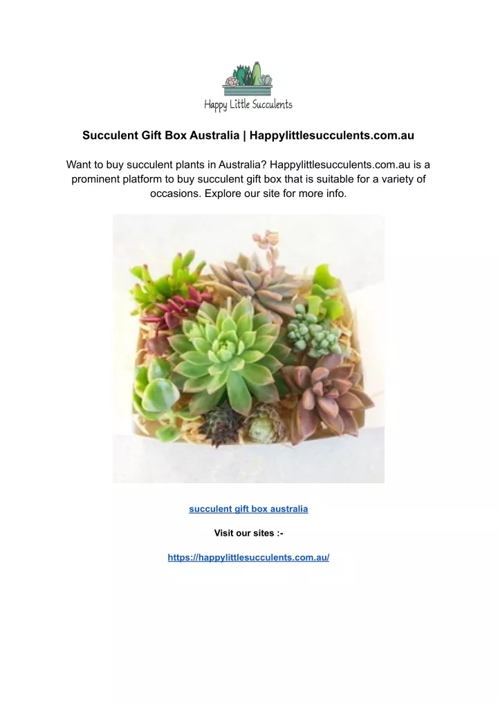 succulent gift box australia