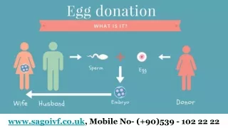 Best Egg Donor Clinic In Europe | Sago IVF