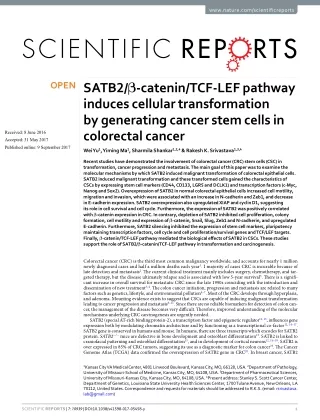 SATB2/β-catenin/TCF-LEF pathway induces cellular transformation