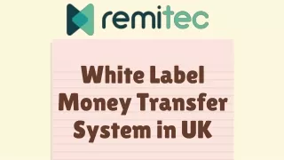 White Label Money Transfer System in UK