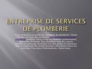 Entreprise de Services de Plomberie PPT