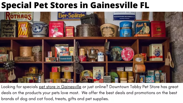 special pet stores in gainesville fl