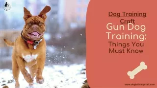 Gun Dog Training - Things You Must Know