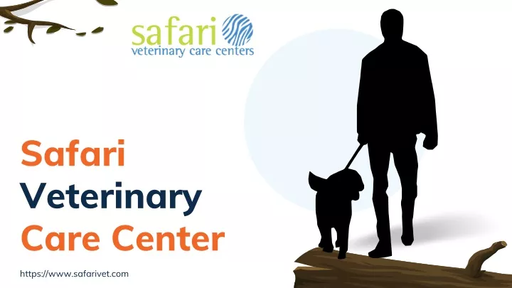 safari veterinary care center