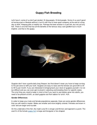 guppy fish breeding