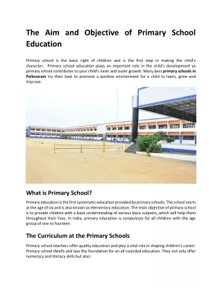 the aim and objective of primary school education