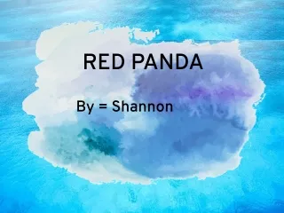 red panda