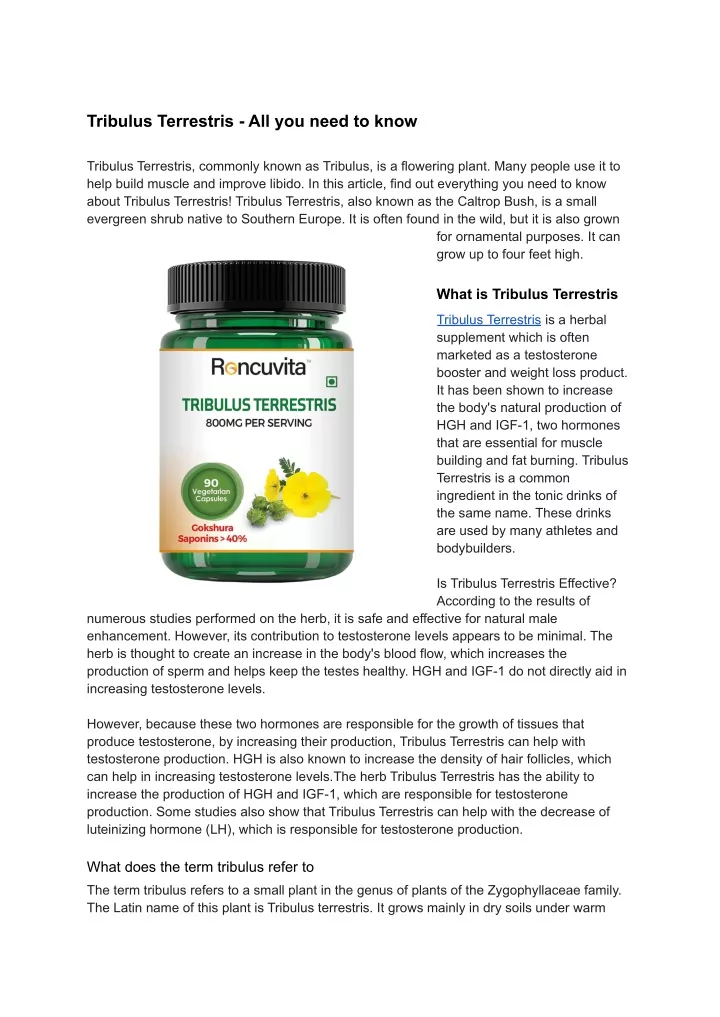 tribulus terrestris all you need to know