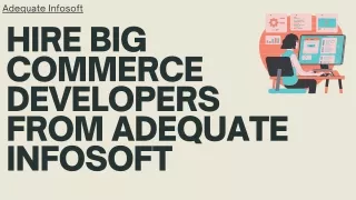 adequate infosoft