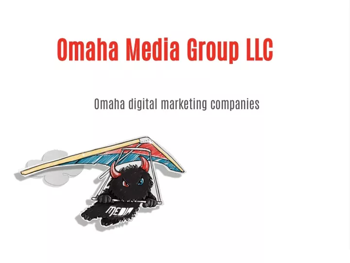 omaha media group llc